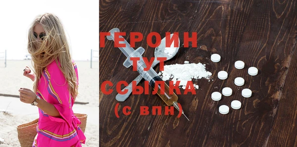 индика Вяземский