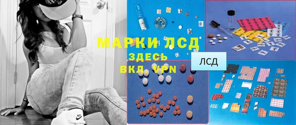 гидра Алзамай