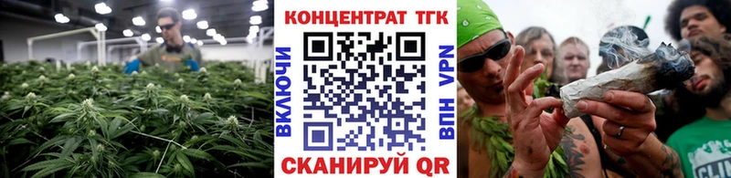 ТГК Wax  Салехард 